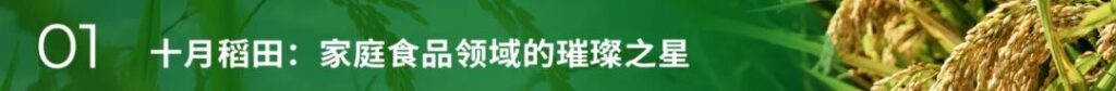 亚洲国产精品一区二区第一页