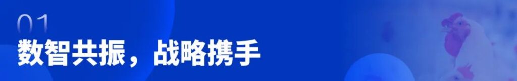 亚洲国产精品一区二区第一页