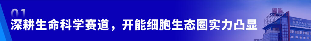亚洲国产精品一区二区第一页