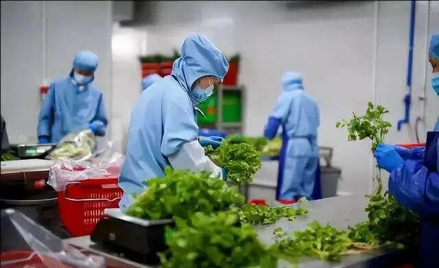 亚洲国产精品一区二区第一页